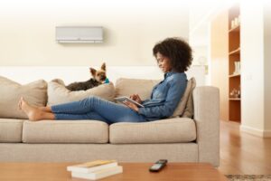 Genove Oil and Air can help you keep your home or space cool with a ductless system.