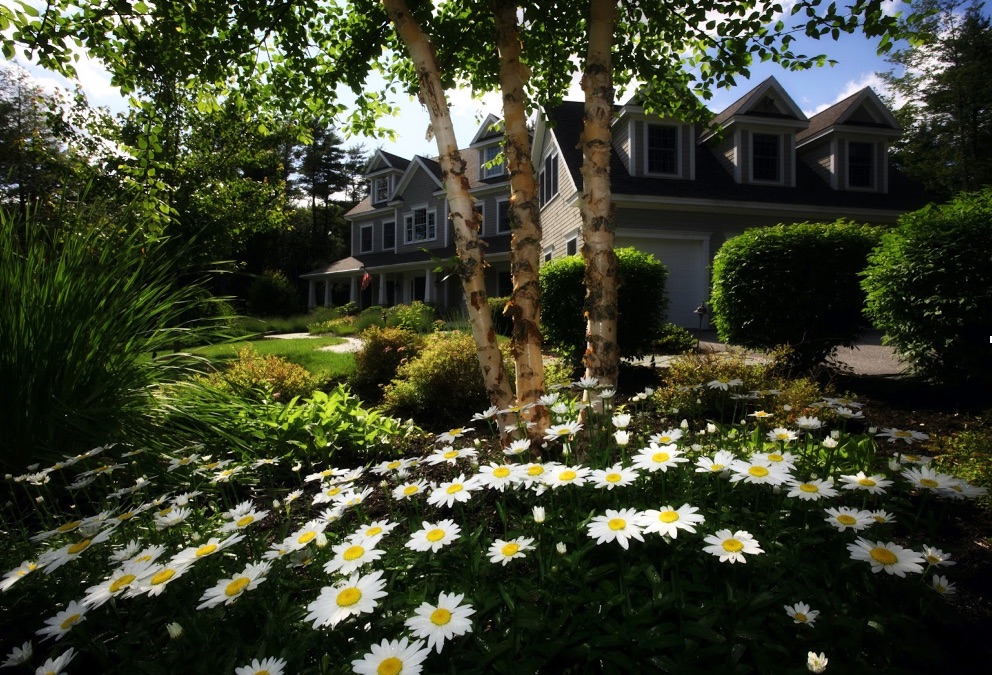 the landscape around your home can contribute to your home’s energy output.